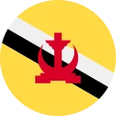 brúneiskur dalur